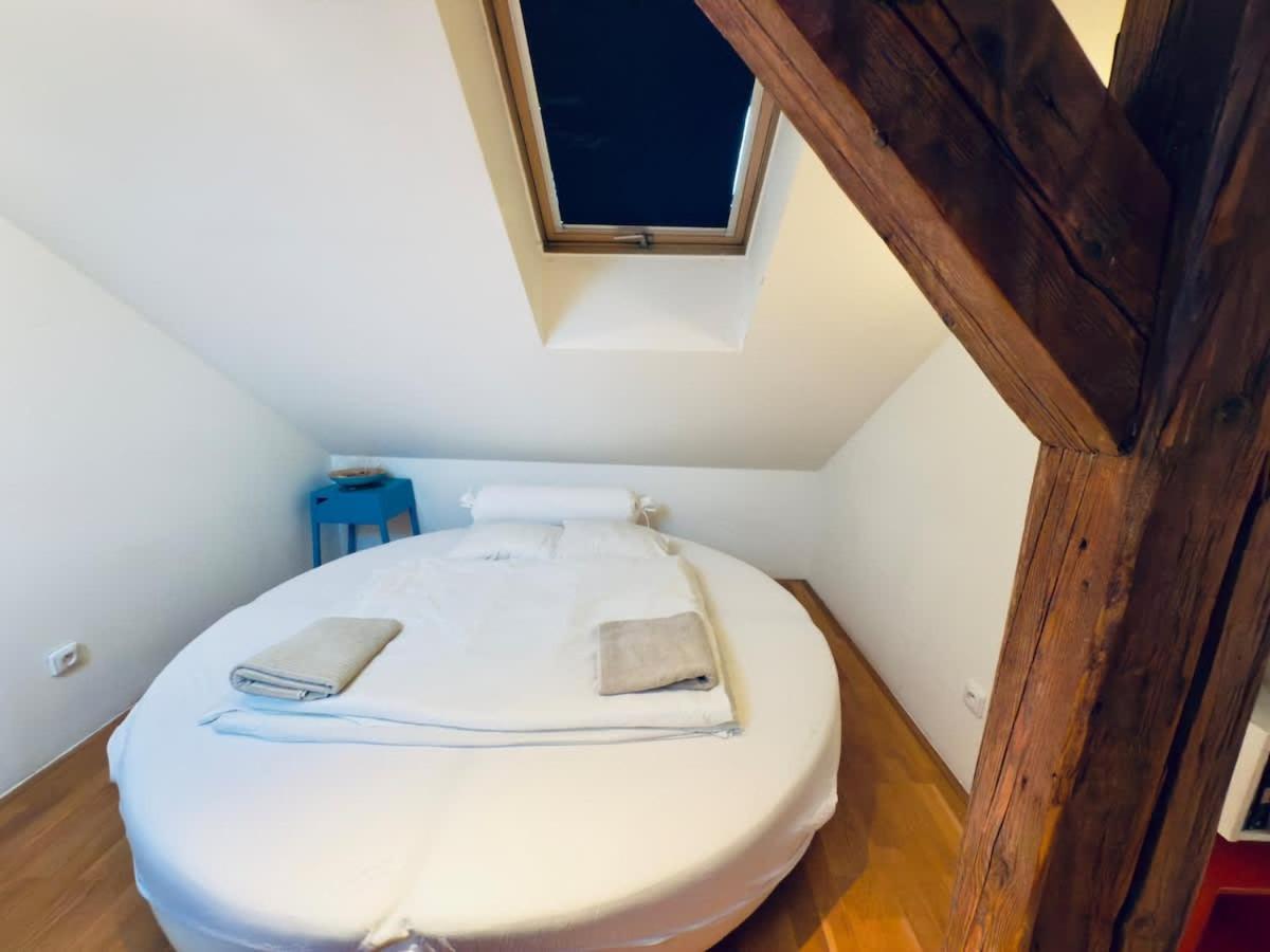 Attic 15 Min To Charles Bridge
